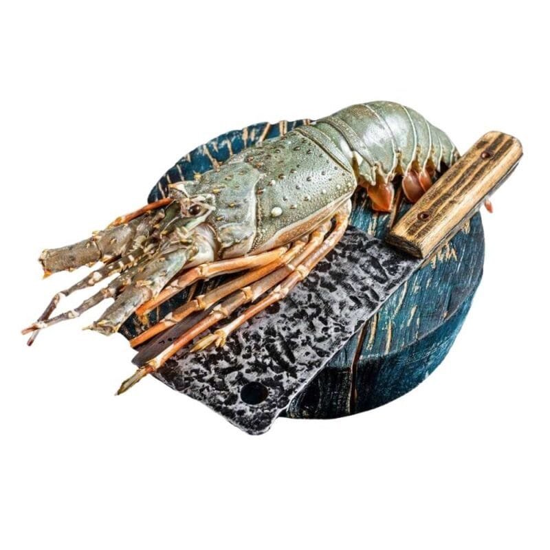 Frozen Lobster (Per Kg Price)