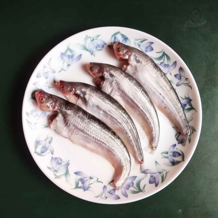 Pabho Fish Online in Guwahati, Pabho Maas in Guwahati, Pabda fish online in Guwahati